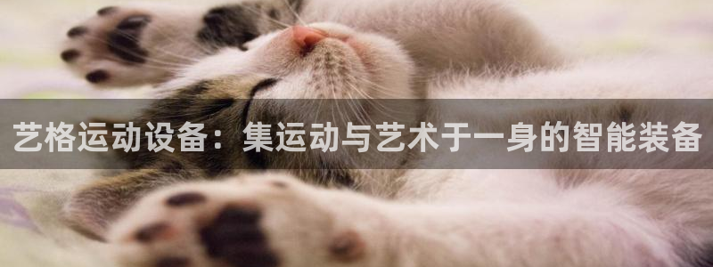 意昂体育4招商电话号码查询是多少：艺格运动设备：集运