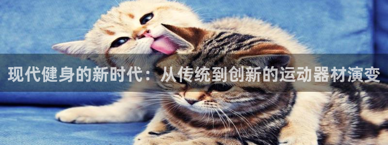 意昂4集团官网首页：现代健身的新时代：从传统到创新的