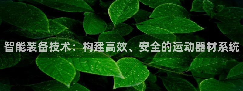 意昂4娱乐网站：智能装备技术：构建高效、安全的运动器