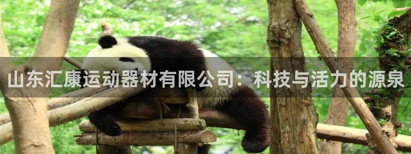 意昂体育4软件：山东汇康运动器材有限公司：科技与活力