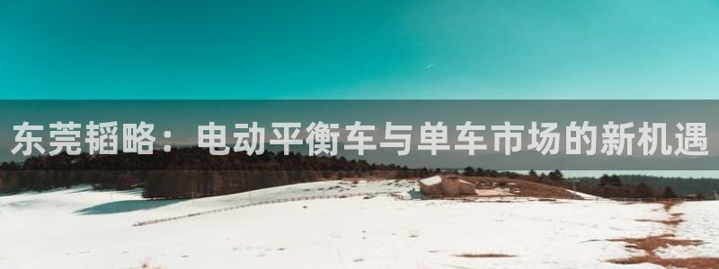 注册意昂4：东莞韬略：电动平衡车与单车市场的新机遇