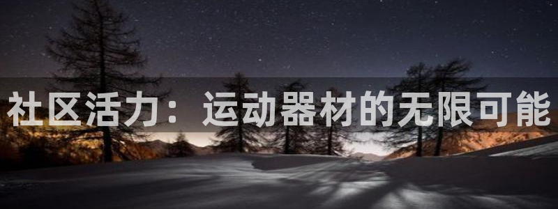 意昂4集团logo：社区活力：运动器材的无限可能