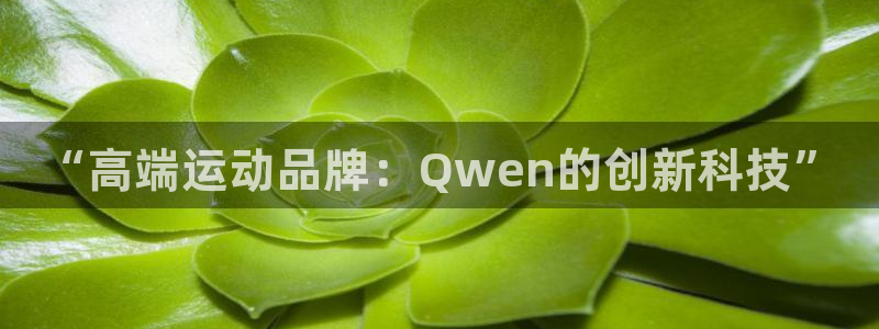 意昂4娱乐网站：“高端运动品牌：Qwen的创新科技”