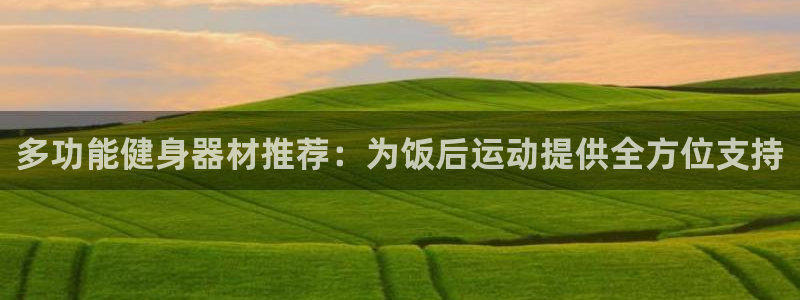 意昂4集团logo：多功能健身器材推荐：为饭后运动提