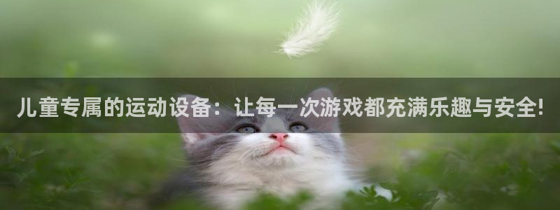 意昂4娱乐平台：儿童专属的运动设备：让每一次游戏都充