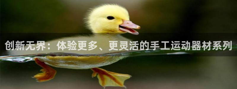 意昂4新能源