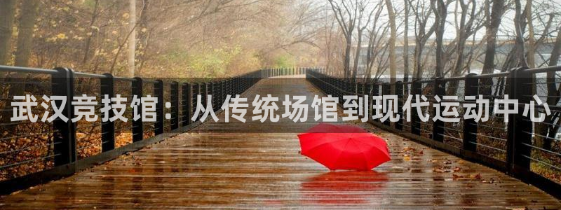 意昂体育4联系电话：武汉竞技馆：从传统场馆到现代运动