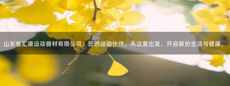 意昂体育4平台注册要钱吗安全吗：山东省汇康运动器材有