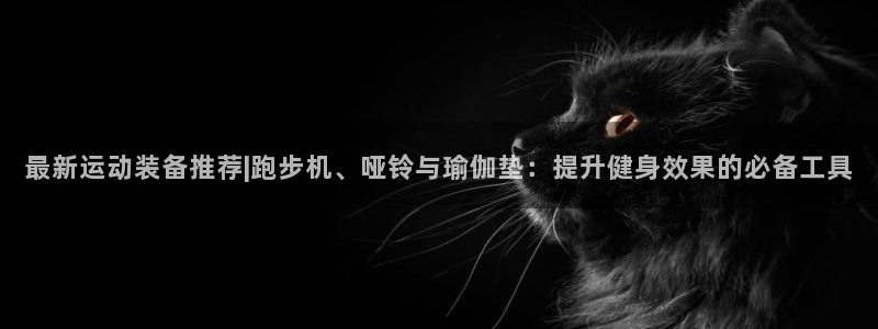 意昂体育4招商电话地址查询：最新运动装备推荐|跑步机、哑铃与
