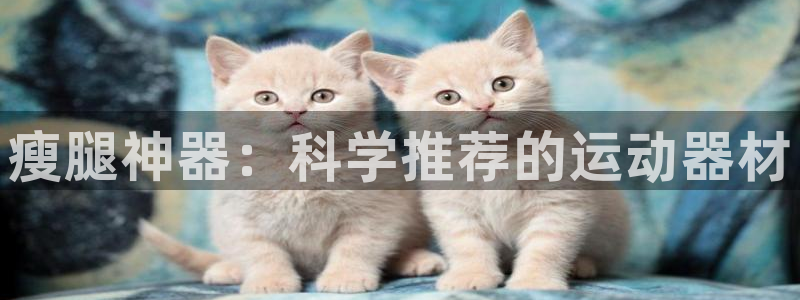 意昂4集团：瘦腿神器：科学推荐的运动器材