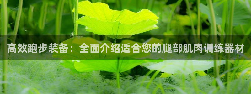 意昂体育4软件：高效跑步装备：全面介绍适合您的腿部肌