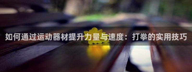 意昂平台体育