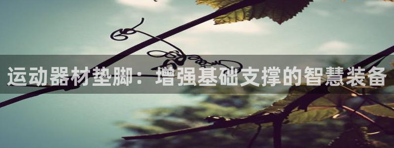 意昂体育4招商电话号码是多少：运动器材垫脚：增强基础