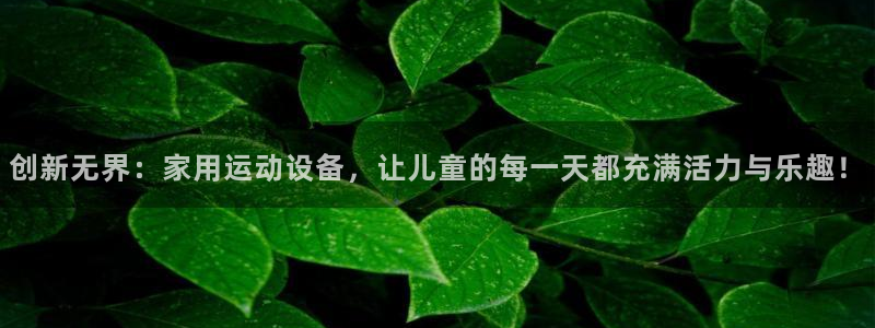 意昂体育4官方客服电话：创新无界：家用运动设备，让儿