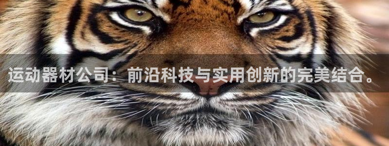意昂体育4招商电话地址：运动器材公司：前沿科技与实用