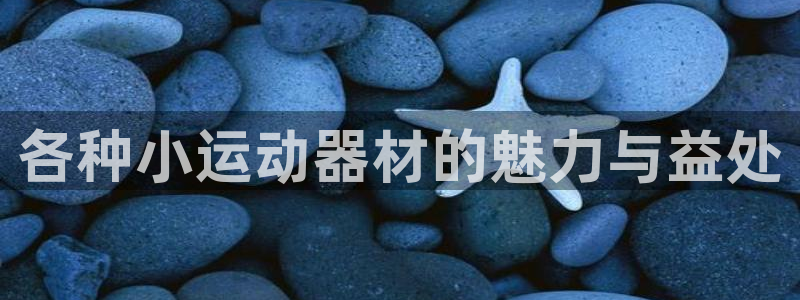 海南意昂体育4发展怎么样：各种小运动器材的魅力与益处