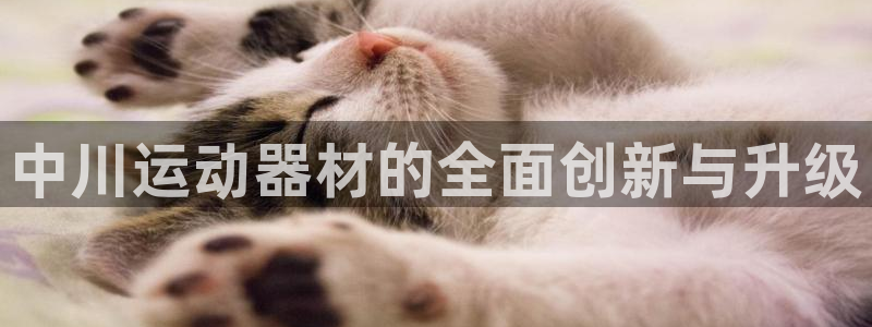意昂体育4平台是正规平台吗安全吗：中川运动器材的全面