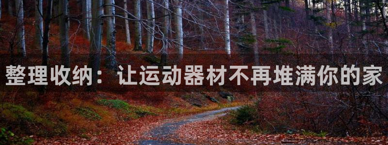意昂体育4是干嘛的公司：整理收纳：让运动器材不再堆满