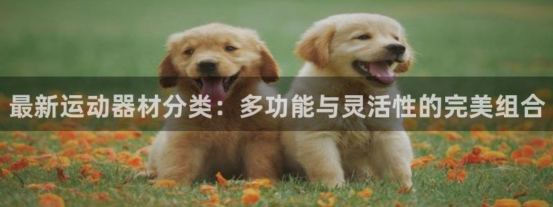 意昂4娱乐网站：最新运动器材分类：多功能与灵活性的完