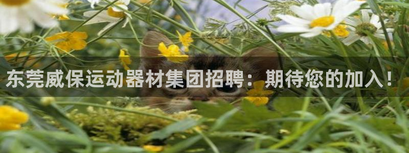 意昂体育4平台注册：东莞威保运动器材集团招聘：期待您
