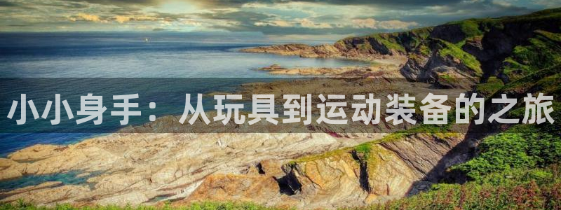 意昂4娱乐：小小身手：从玩具到运动装备的之旅