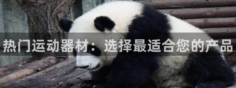意昂体育4招商电话号码查询是多少