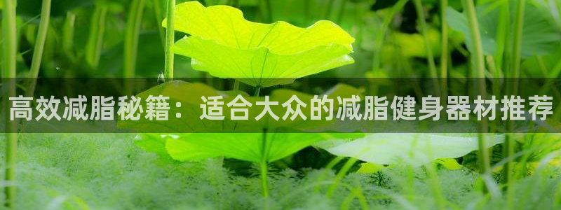 意昂4集团logo：高效减脂秘籍：适合大众的减脂健身器材推荐