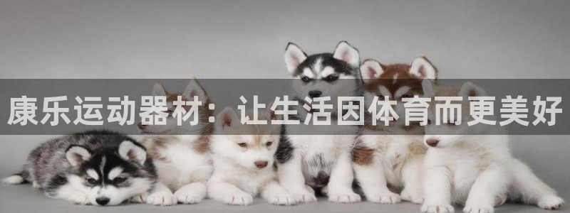 海南意昂体育4发展怎么样