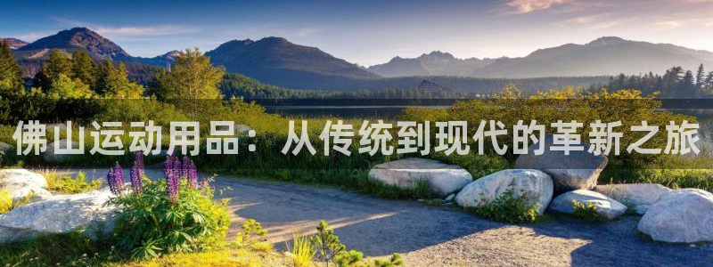 意昂体育4开户：佛山运动用品：从传统到现代的革新之旅