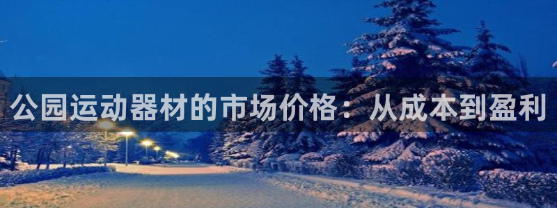 海南意昂体育4发展怎么样：公园运动器材的市场价格：从成本到盈