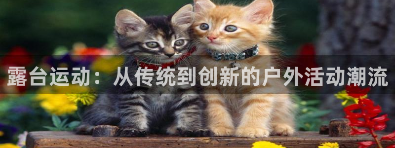意昂体育4招商电话地址是多少：露台运动：从传统到创新的户外活