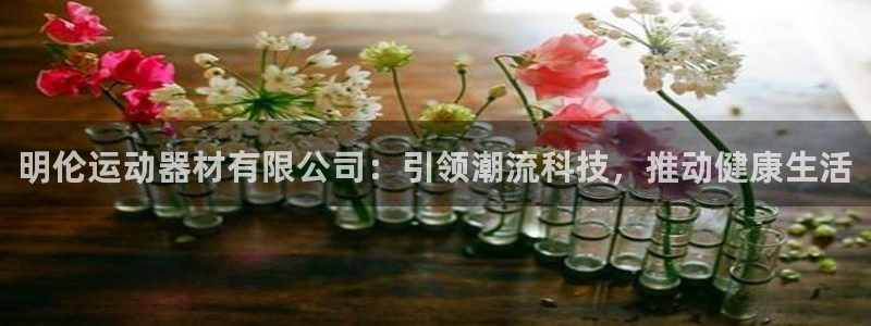 注册意昂4：明伦运动器材有限公司：引领潮流科技，推动