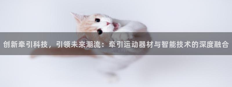 意昂体育4招商电话地址查询：创新牵引科技，引领未来潮流：牵引