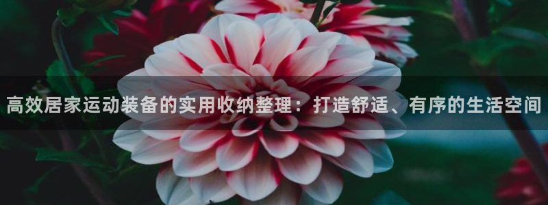 意昂集团官网：高效居家运动装备的实用收纳整理：打造舒