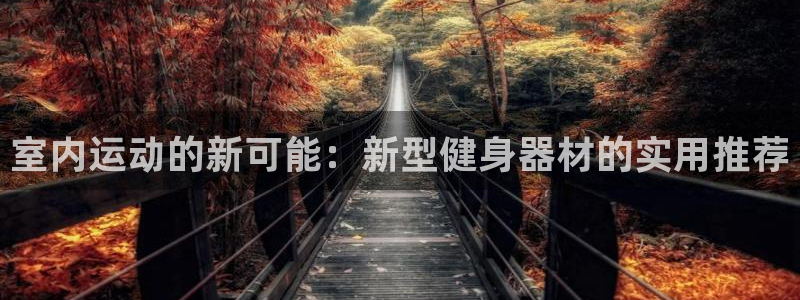 意昂4集团简介：室内运动的新可能：新型健身器材的实用