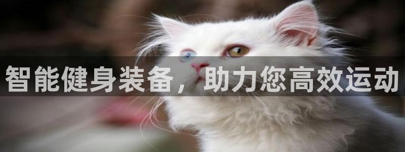 意昂体育4平台是正规平台吗：智能健身装备，助力您高效