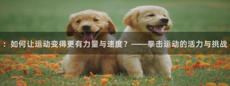 海南意昂体育4发展怎么样：：如何让运动变得更有力量与