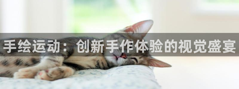 意昂4代理：手绘运动：创新手作体验的视觉盛宴