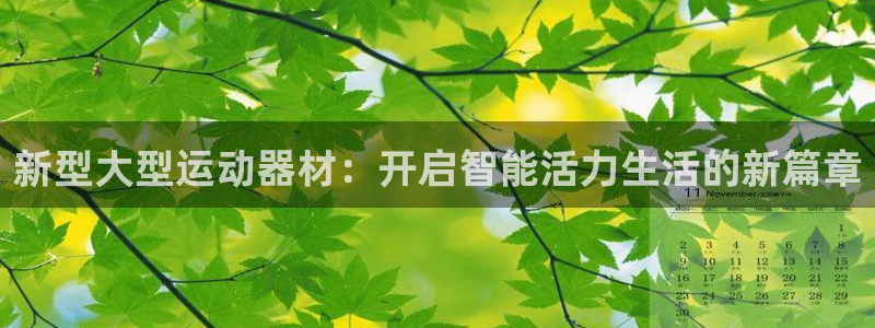 意昂体育4平台注册要钱吗：新型大型运动器材：开启智能