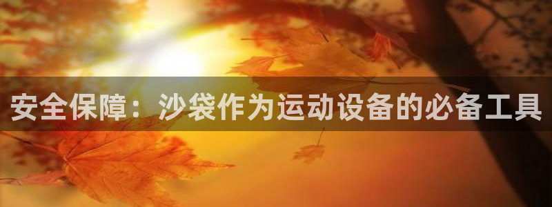 意昂4官网：安全保障：沙袋作为运动设备的必备工具