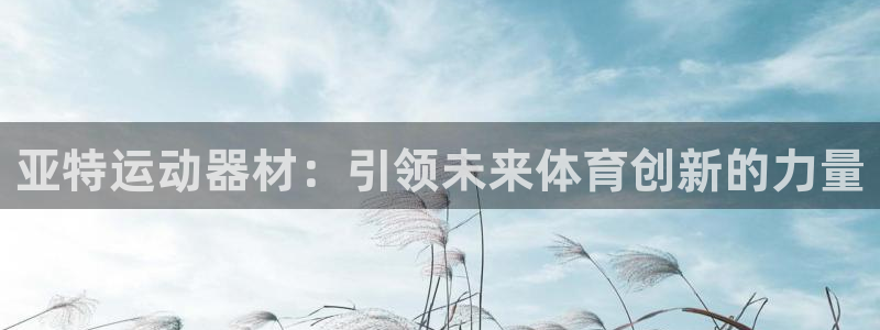 意昂体育4平台是正规平台吗安全吗：亚特运动器材：引领
