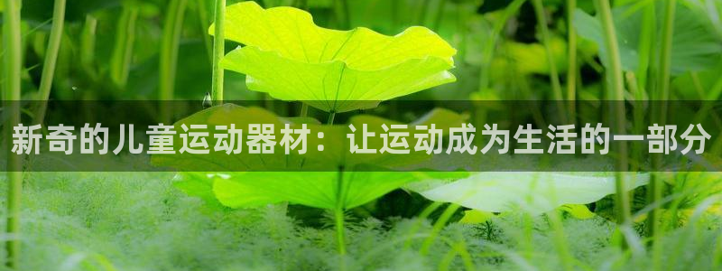 意昂4开户：新奇的儿童运动器材：让运动成为生活的一部