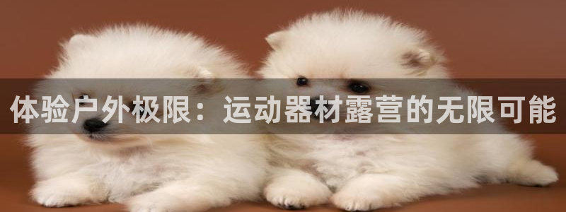 意昂集团官网：体验户外极限：运动器材露营的无限可能
