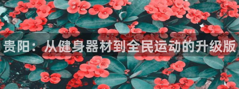 意昂4娱乐：贵阳：从健身器材到全民运动的升级版