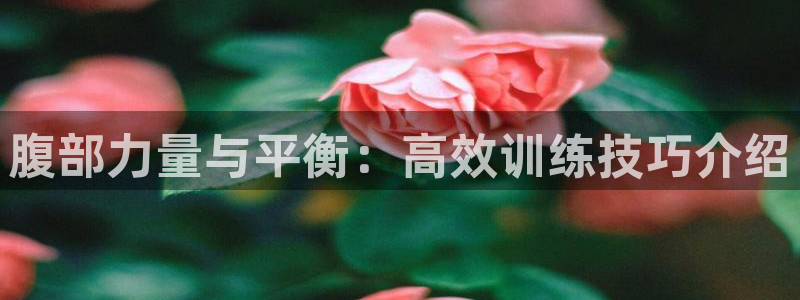 意昂体育4招商电话号码查询是多少：腹部力量与平衡：高