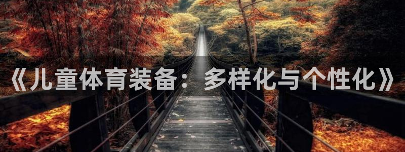 意昂体育4软件：《儿童体育装备：多样化与个性化》