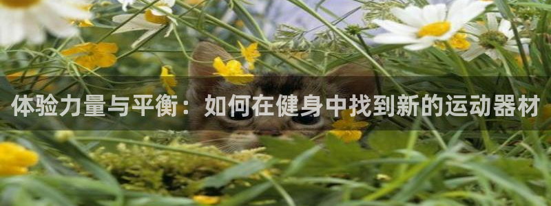 意昂4官网：体验力量与平衡：如何在健身中找到新的运动器材