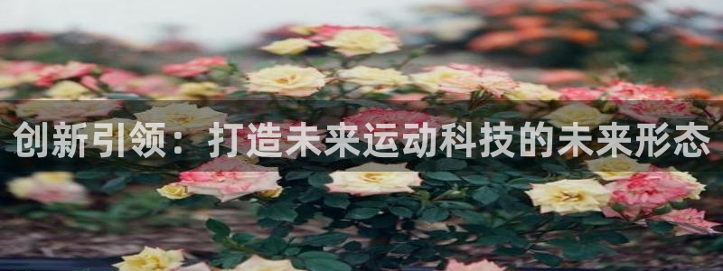意昂体育4平台注册要钱吗：创新引领：打造未来运动科技的未来形
