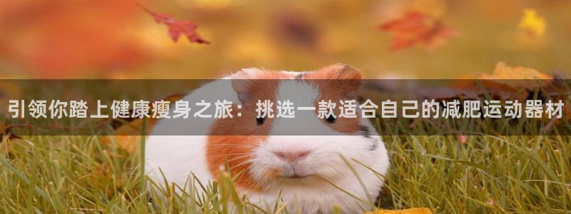 意昂体育4招商电话地址查询：引领你踏上健康瘦身之旅：挑选一款