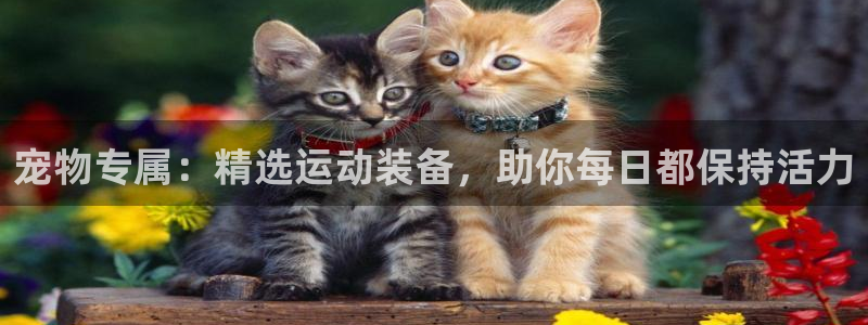 意昂4娱乐首页网站大全